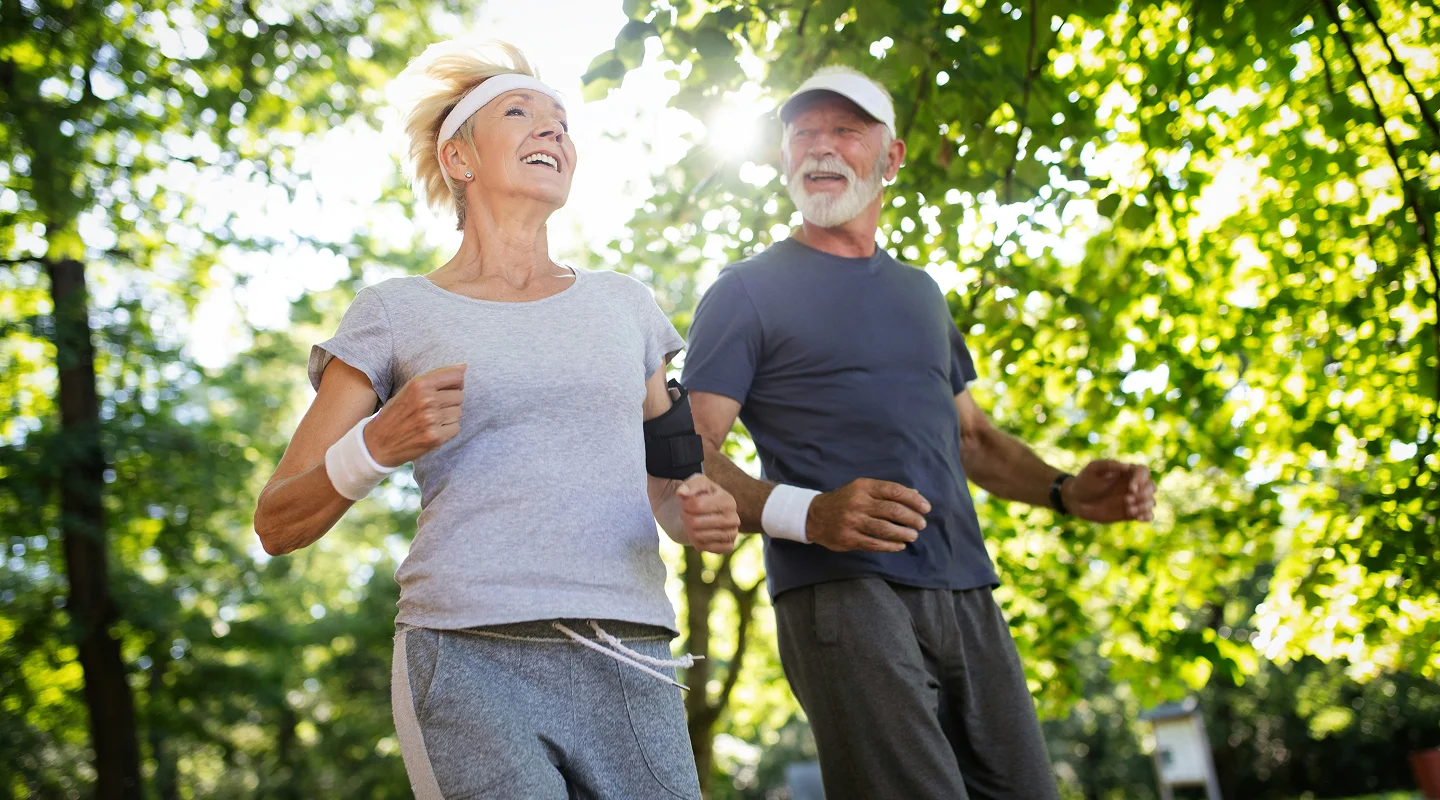 Two people jogging together on a sunlit forest trail